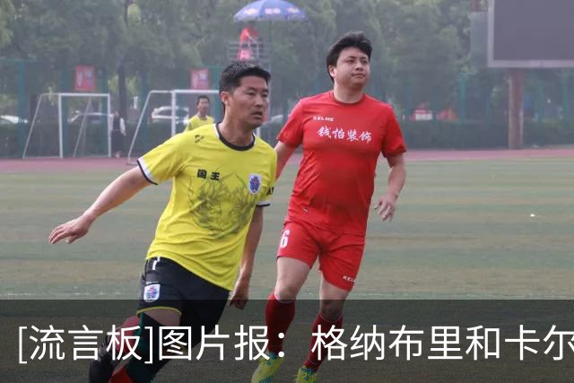 [流言板]图片报：格纳布里和卡尔下周恢复合练，预计电信杯复出